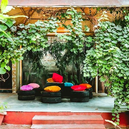 Farmstay - Capsule Den New Delhi Luaran gambar