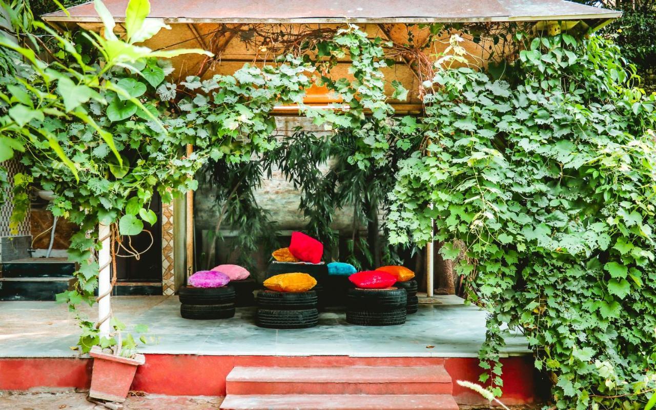 Farmstay - Capsule Den New Delhi Luaran gambar